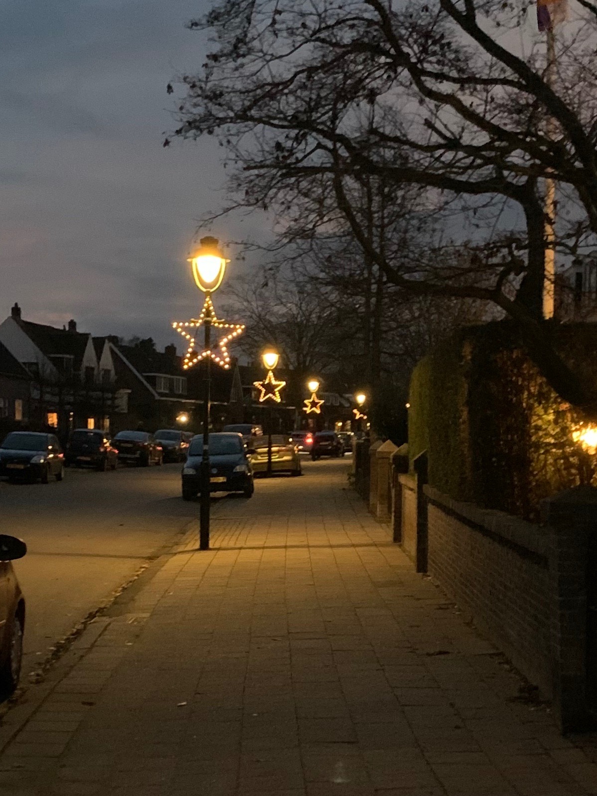 Kerstster Tuindorp Hengelo
