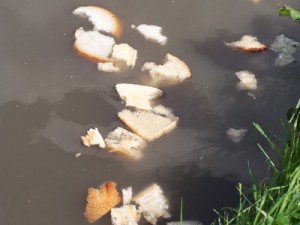 eendjes04